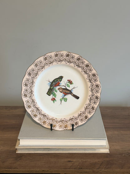 Vintage Melba bone china wild birds plate
