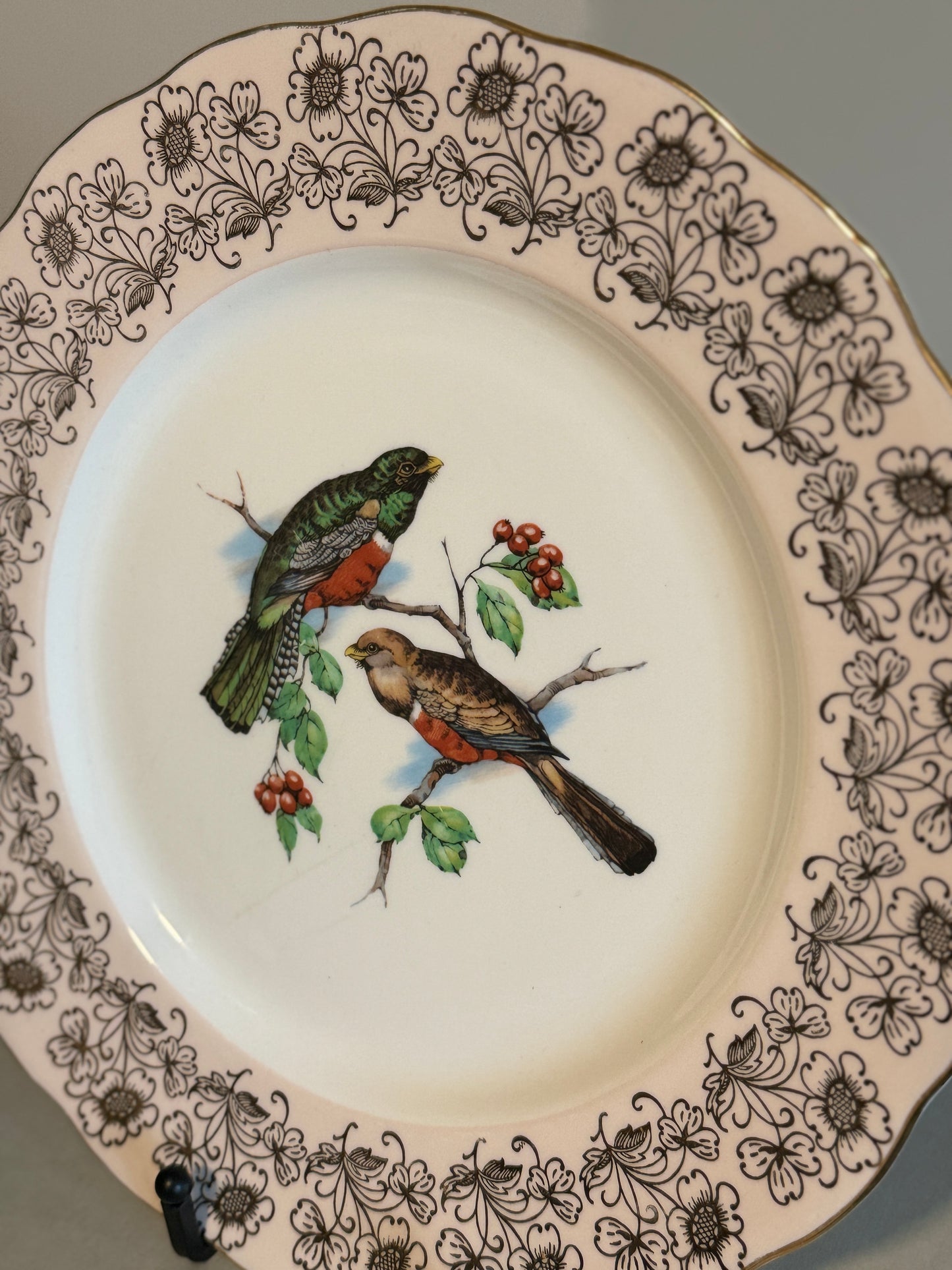 Vintage Melba bone china wild birds plate