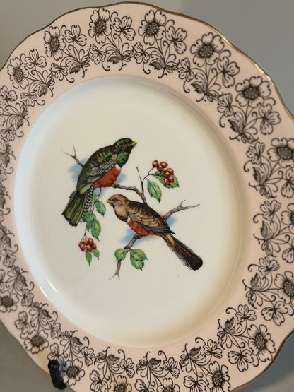 Vintage Melba bone china wild birds plate