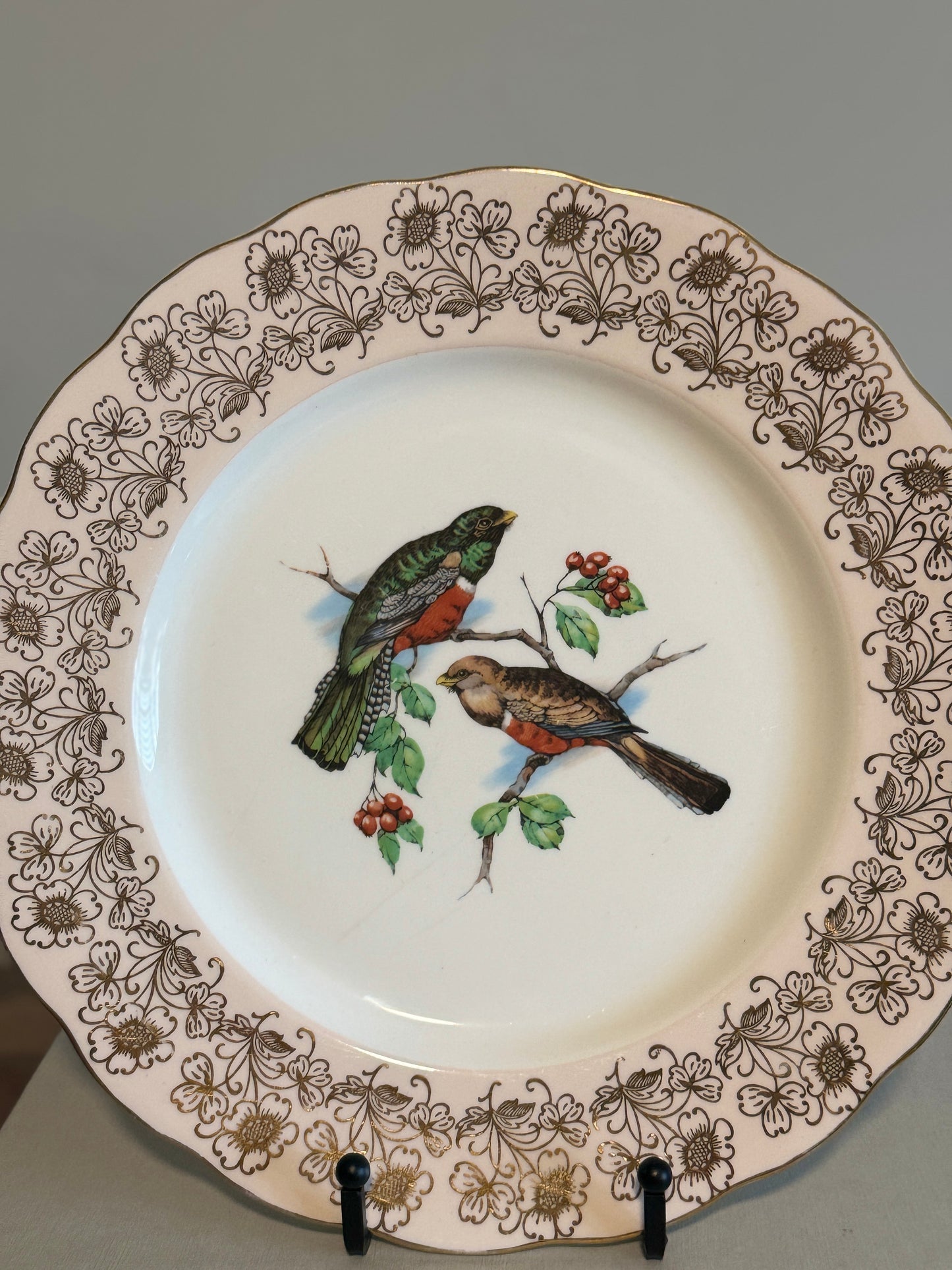 Vintage Melba bone china wild birds plate