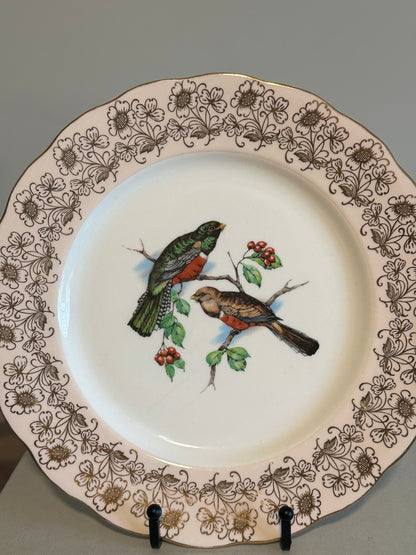 Vintage Melba bone china wild birds plate