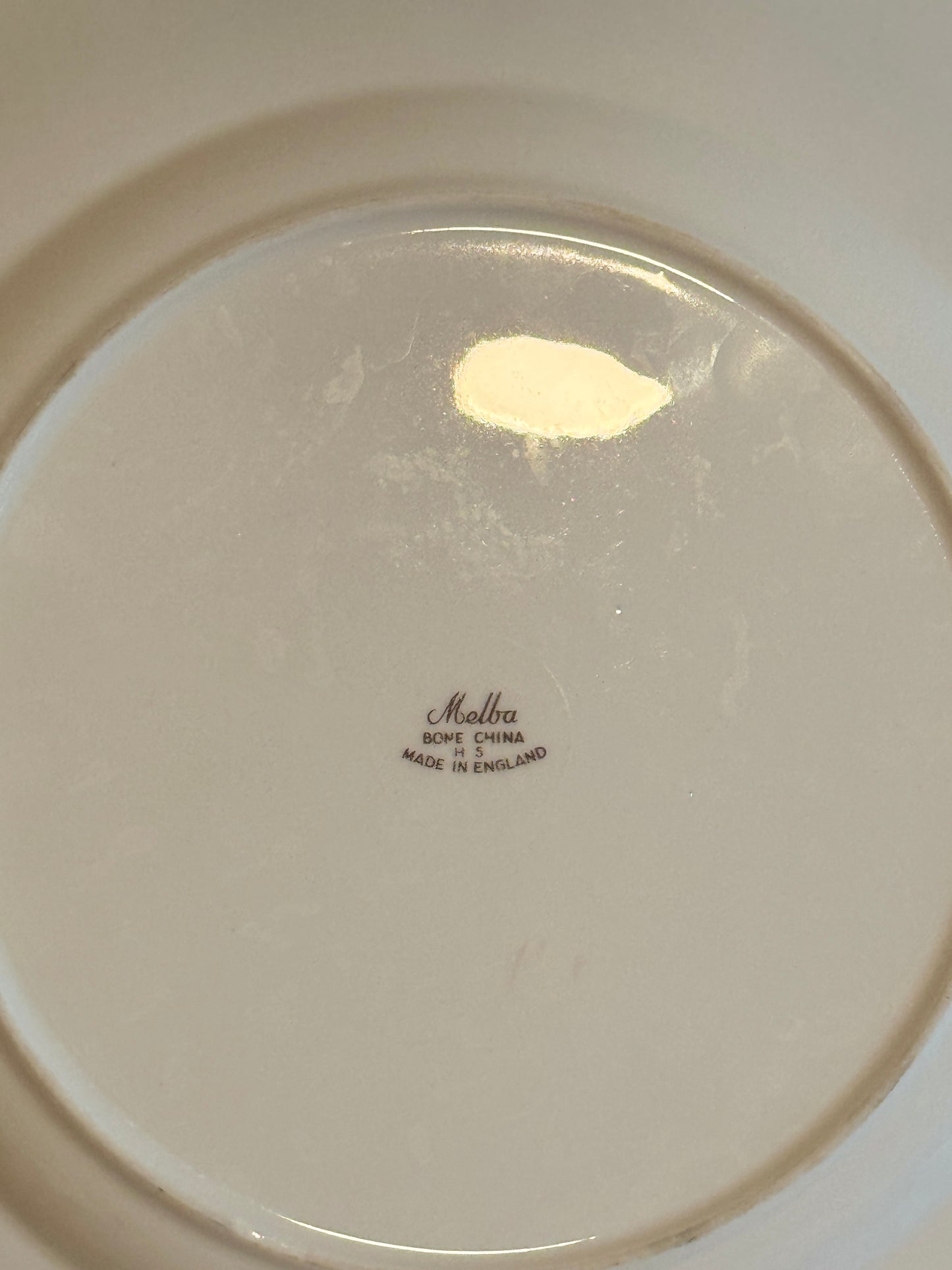 Vintage Melba bone china wild birds plate